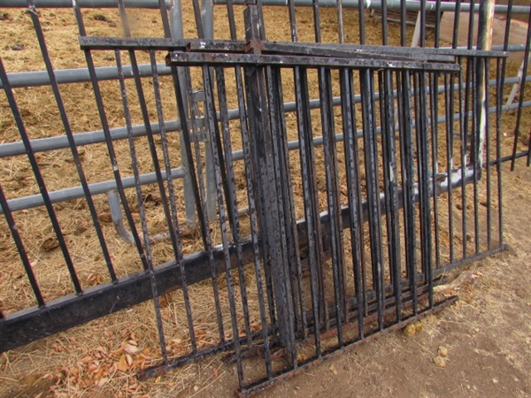 APPROX. 80' OF WROUGHT IRON FENCING PANELS