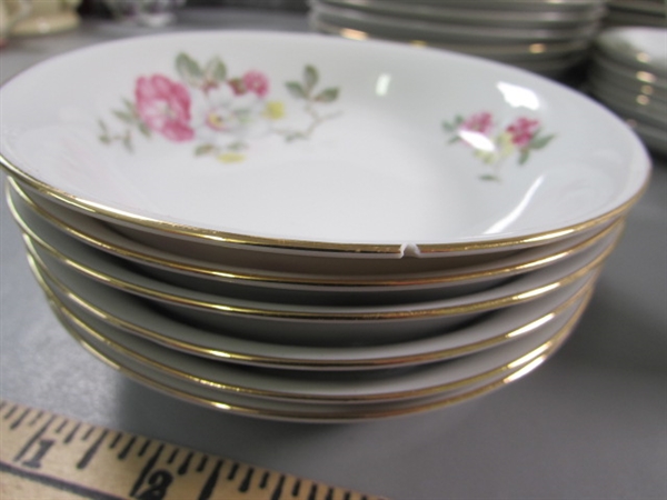 48 PC GERMAN BAVARIA WILD ROSE FINE CHINA DINNERWARE