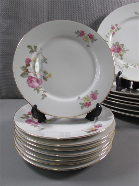 48 PC GERMAN BAVARIA WILD ROSE FINE CHINA DINNERWARE