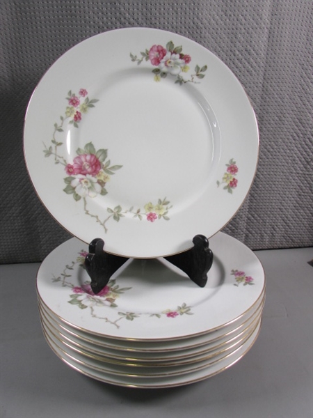 48 PC GERMAN BAVARIA WILD ROSE FINE CHINA DINNERWARE