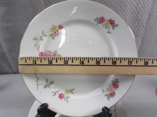 48 PC GERMAN BAVARIA WILD ROSE FINE CHINA DINNERWARE