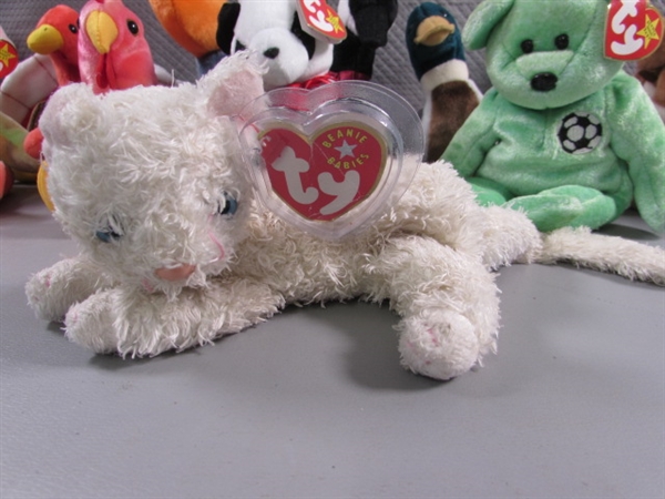 13 TY BEANIE BABIES - ALL HAVE EAR TAGS