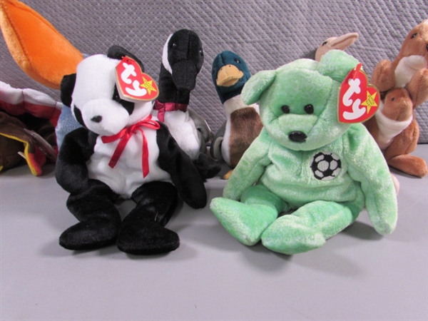 13 TY BEANIE BABIES - ALL HAVE EAR TAGS