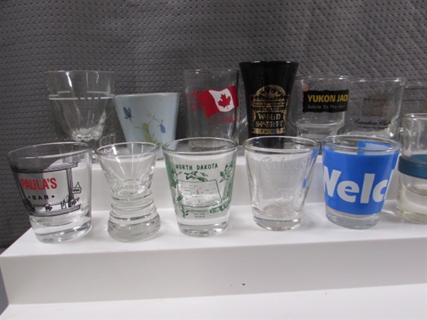 LARGE COLLECTION OF SHOT GLASSES #3