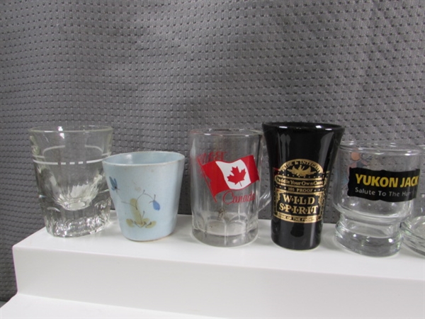 LARGE COLLECTION OF SHOT GLASSES #3