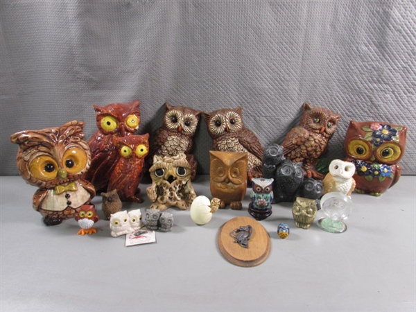 COLLECTION OF OWL FIGURINES