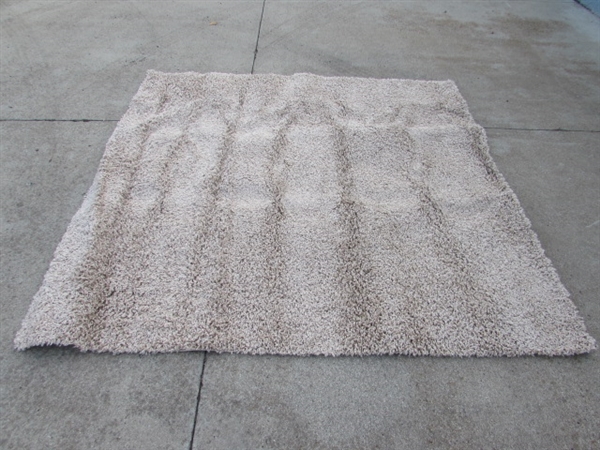 ATHENS SHAG AREA RUG IN BEIGE