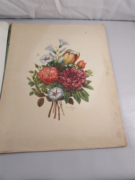 2 VINTAGE/ANTIQUE JEAN LOUIS PREVOST BOUQUET PRINTS IN PORTFOLIO & GLADIOLUS PRINT