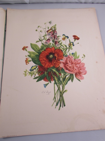 2 VINTAGE/ANTIQUE JEAN LOUIS PREVOST BOUQUET PRINTS IN PORTFOLIO & GLADIOLUS PRINT