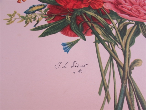 2 VINTAGE/ANTIQUE JEAN LOUIS PREVOST BOUQUET PRINTS IN PORTFOLIO & GLADIOLUS PRINT