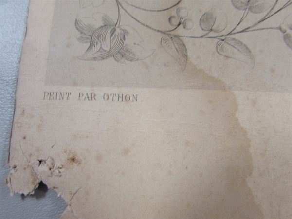 5 VINTAGE ANTIQUE LITHOGRAPHS