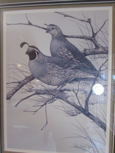 SHERRIE RUSSELL MELINE LIMITED EDITION 619/650 QUAIL PRINT - SIGNED & DATED W/COA