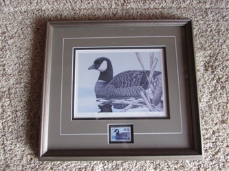 SHERRIE RUSSELL FRAMED PRINT "CACKLING CANADA GOOSE" - EXECUTIVE EDITION 197/200 - SIGNED & NUMBERED W/COA