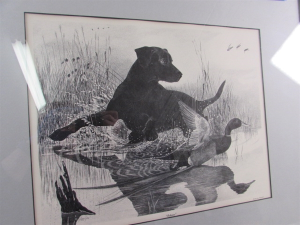 RETRIEVER BY GLENN GORE FRAMED & MATTED PRINT - SPECIAL PORTFOLIO EDITION