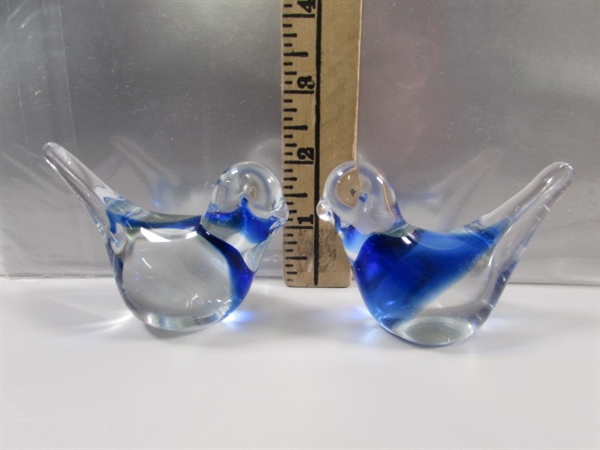 A WADDLE OF GLASS PENGUINS & 2 BIRDS