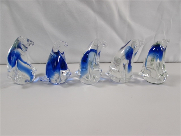 A WADDLE OF GLASS PENGUINS & 2 BIRDS