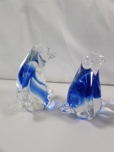 A WADDLE OF GLASS PENGUINS & 2 BIRDS