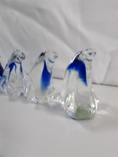 A WADDLE OF GLASS PENGUINS & 2 BIRDS