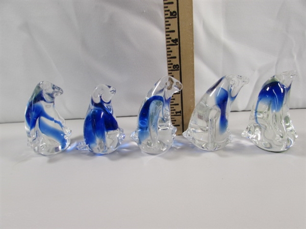 A WADDLE OF GLASS PENGUINS & 2 BIRDS