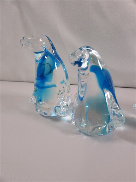 A WADDLE OF GLASS PENGUINS & 2 BIRDS