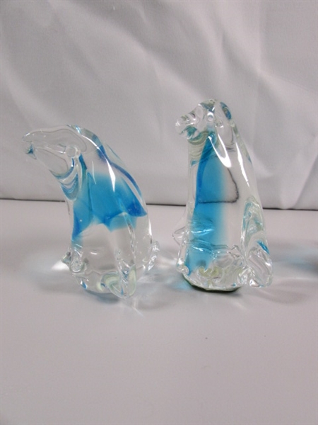 A WADDLE OF GLASS PENGUINS & 2 BIRDS