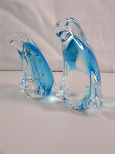 A WADDLE OF GLASS PENGUINS & 2 BIRDS