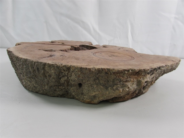 RAW BURL WOOD SLAB