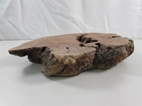 RAW BURL WOOD SLAB