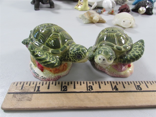 COLLECTION OF TURTLES