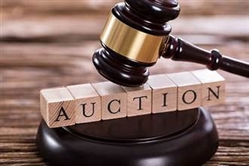 Jenns Weekly Auction News