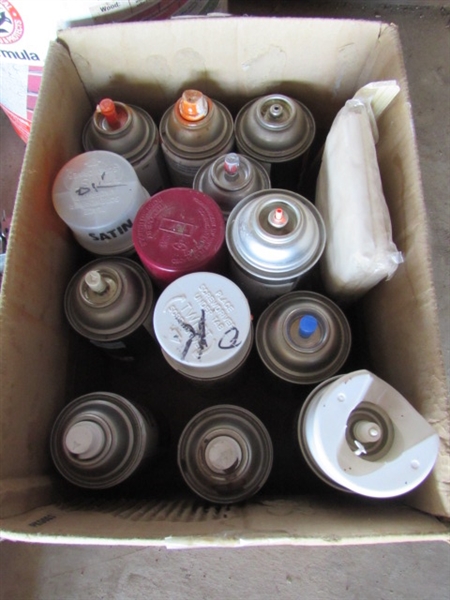 ASSORTMENT OF HOUSEHOLD MAINTENANCE SUPPLIES