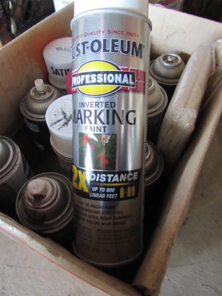 ASSORTMENT OF HOUSEHOLD MAINTENANCE SUPPLIES