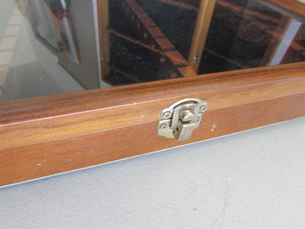 5 ENCLOSED SOUVENIR SPOON DISPLAY CASES - WALL MOUNT