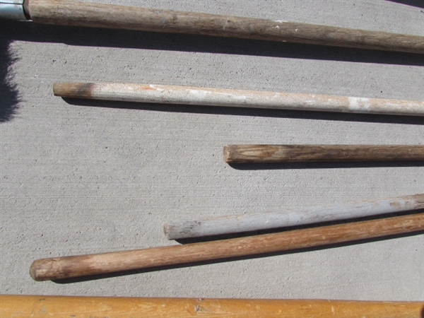 LONG HANDLES GARDEN TOOLS & FROG FORKS