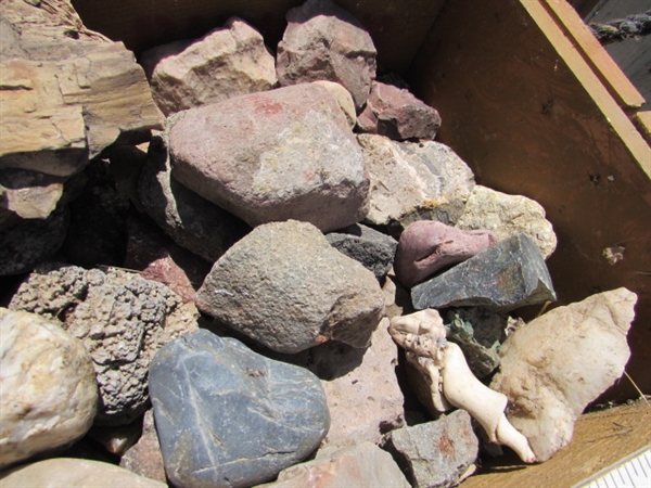 VINTAGE WOODEN AMMO CRATE/BOX WITH ASSORTED ROCKS