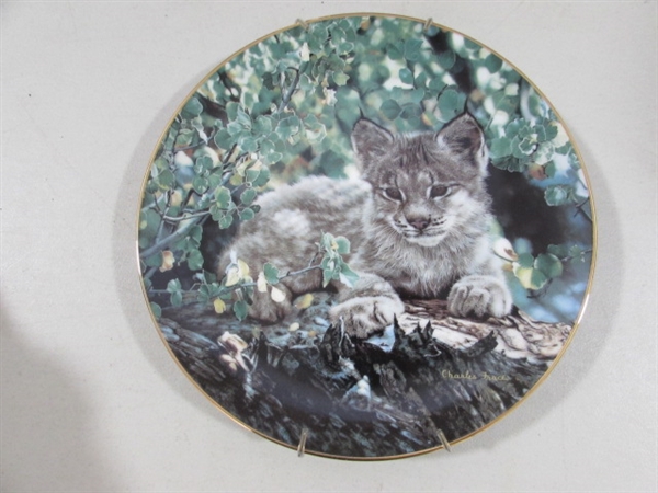 LARGE CLOTH TIGER WALL ART & BIG CAT COLLECTOR PLATES