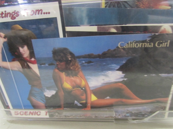 LARGE COLLECTION OF POSTCARDS & POSTCARD ALBUMS W/EXTRA PAGES
