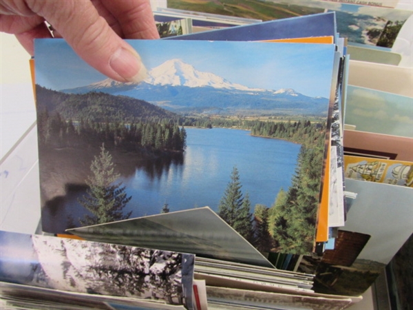 LARGE COLLECTION OF POSTCARDS & POSTCARD ALBUMS W/EXTRA PAGES