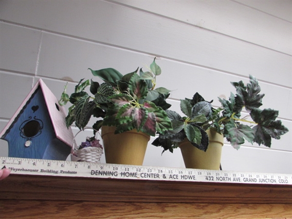 BIRD HOUSES & FOLIAGE