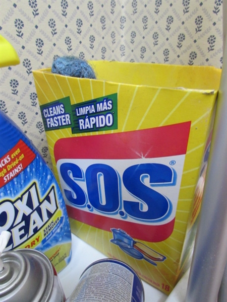 CLEANING SUPPLIES AND UTILITY CART