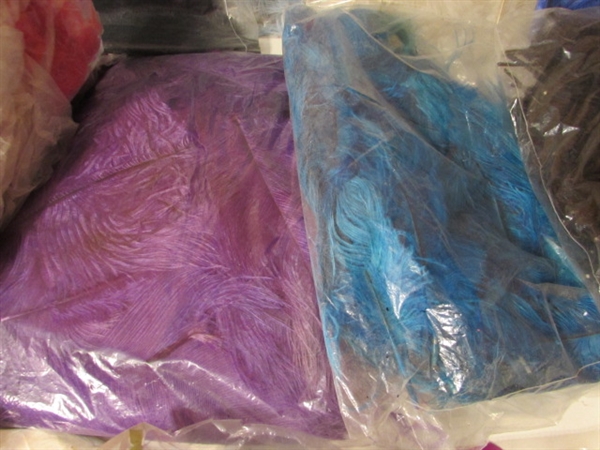 COLLECTION OF CRAFTING FEATHERS