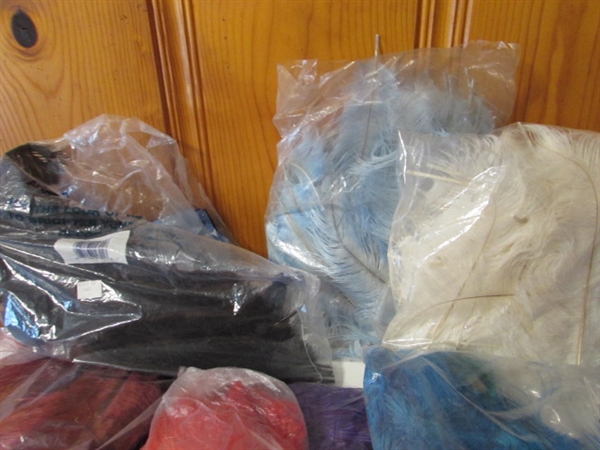 COLLECTION OF CRAFTING FEATHERS