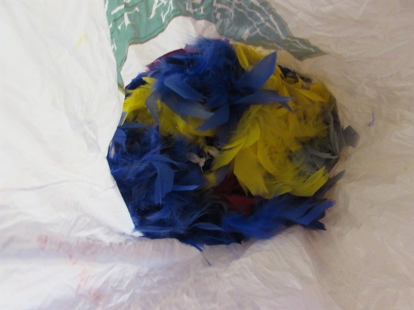 COLLECTION OF CRAFTING FEATHERS