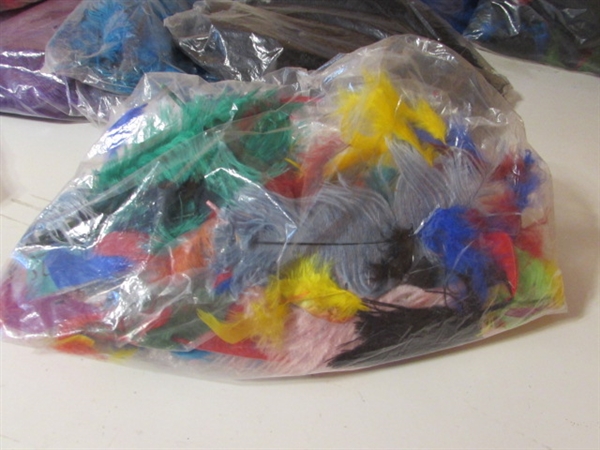 COLLECTION OF CRAFTING FEATHERS