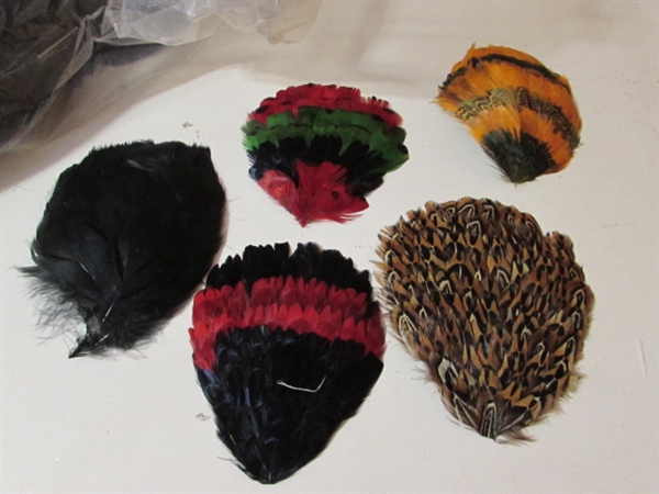 COLLECTION OF CRAFTING FEATHERS
