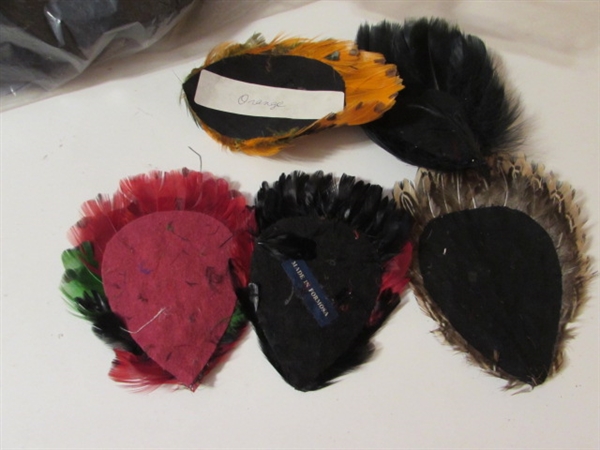 COLLECTION OF CRAFTING FEATHERS