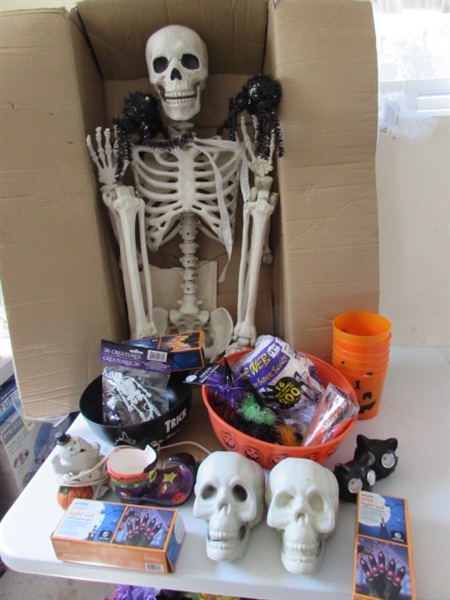 5' SKELETON & HALLOWEEN DECOR