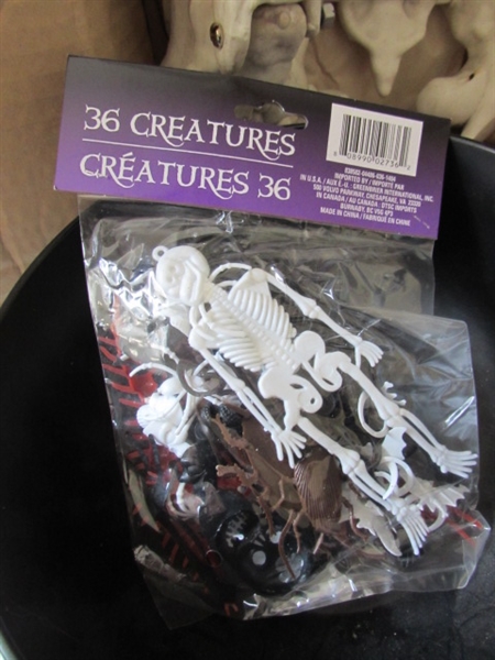 5' SKELETON & HALLOWEEN DECOR