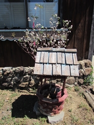 WISHING WELL & CHERRY BRANCH