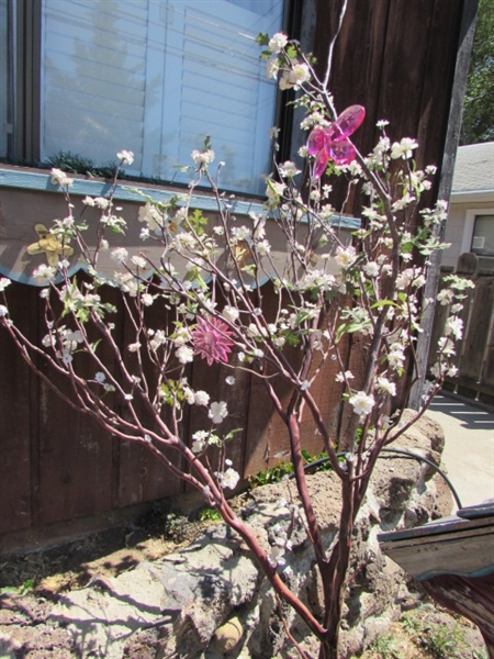 WISHING WELL & CHERRY BRANCH